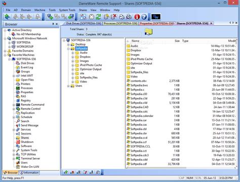 DameWare Remote Support 12.3.1.20