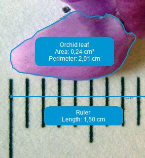Download KLONK Image Measurement